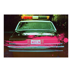 TEN (24"H x 16"W x 2"D)