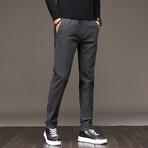 Chino Pants // Winter Lined // Gray (33WX41L)
