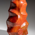 Genuine Polished Petrified Wood Flame