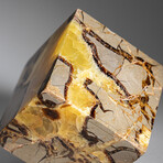 Genuine Polished Septarian Cube