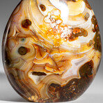 Genuine Polished Carnelian Agate Freeform
