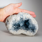 Genuine Blue Celestite Geode V.1