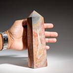 Genuine Polished Polychrome Jasper Point