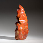 Genuine Polished Petrified Wood Flame