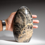 Genuine Polished Black Moonstone Freeform