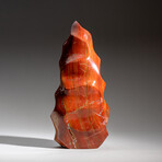Genuine Polished Petrified Wood Flame