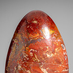 Genuine Polished Ocean Jasper Freeform