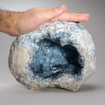 Genuine Blue Celestite Geode V.3
