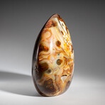 Genuine Polished Carnelian Agate Freeform