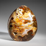 Genuine Polished Carnelian Agate Freeform