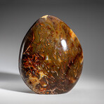 Genuine Polished Carnelian Agate Freeform