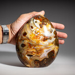 Genuine Polished Carnelian Agate Freeform