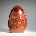Genuine Polished Ocean Jasper Freeform