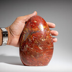 Genuine Polished Ocean Jasper Freeform