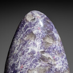 Genuine Polished Lepidolite Freeform