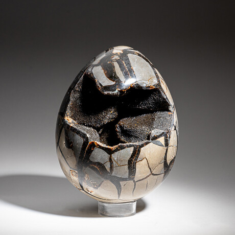 Genuine Polished Septarian Egg