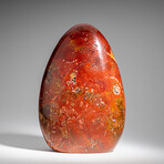 Genuine Polished Ocean Jasper Freeform