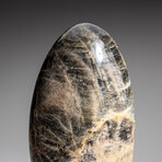 Genuine Polished Black Moonstone Freeform