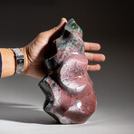 Genuine Polished Ocean Jasper Flame