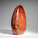 Genuine Polished Ocean Jasper Freeform