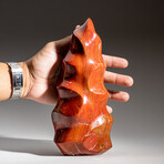 Genuine Polished Petrified Wood Flame