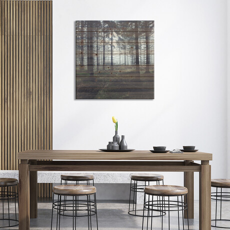 Through The Trees // Tordis Kayma (26"H x 26"W x 1.5"D)