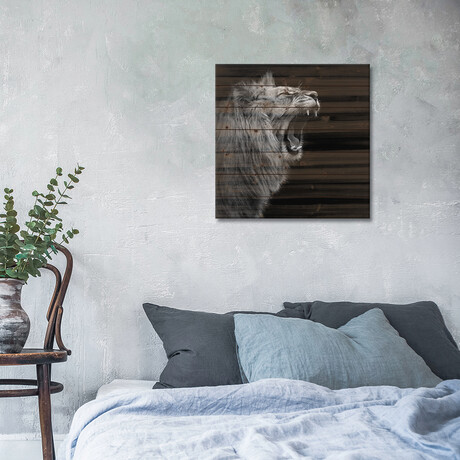 Lion In Black & White I // Lukas Holas (26"H x 26"W x 1.5"D)