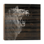 Lion In Black & White I // Lukas Holas (26"H x 26"W x 1.5"D)