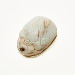 Excellent Egyptian Scarab // 1750-1570 BC