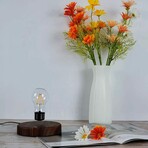 Maglev 360° Rotating LED Table Lamp