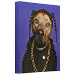 Pets Rock™ Rap // Graphic Art on Wrapped Canvas Wall Art