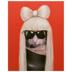 Pets Rock™ GG // Graphic Art on Wrapped Canvas Wall Art