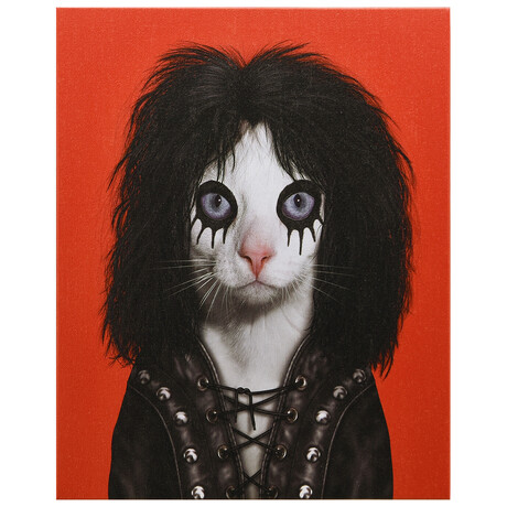 Pets Rock™ Shock Rock // Graphic Art on Wrapped Canvas Wall Art