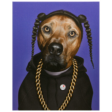 Pets Rock™ Rap // Graphic Art on Wrapped Canvas Wall Art