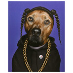 Pets Rock™ Rap // Graphic Art on Wrapped Canvas Wall Art