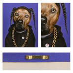 Pets Rock™ Rap // Graphic Art on Wrapped Canvas Wall Art