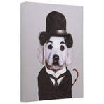 Pets Rock™ Tramp // Graphic Art on Wrapped Canvas Wall Art