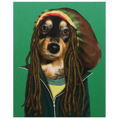 Pets Rock™ Reggae // Graphic Art on Wrapped Canvas Wall Art