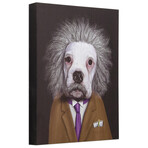 Pets Rock™ Brain // Graphic Art on Wrapped Canvas Wall Art