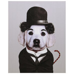 Pets Rock™ Tramp // Graphic Art on Wrapped Canvas Wall Art