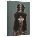 Pets Rock™ Gnash // Graphic Art on Wrapped Canvas Wall Art