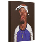 Pets Rock™ Two Rap // Graphic Art on Wrapped Canvas Wall Art