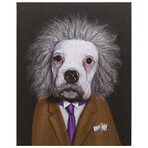 Pets Rock™ Brain // Graphic Art on Wrapped Canvas Wall Art