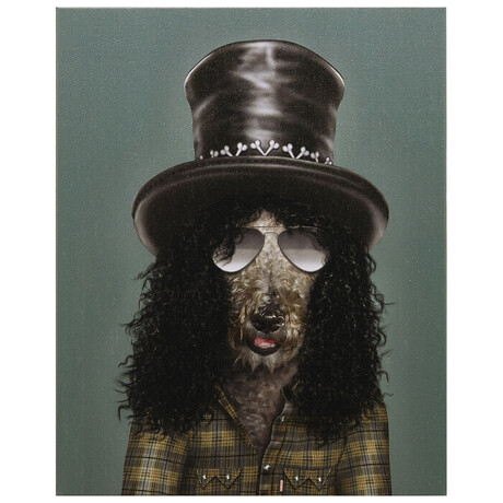 Pets Rock™ Gnash // Graphic Art on Wrapped Canvas Wall Art