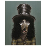 Pets Rock™ Gnash // Graphic Art on Wrapped Canvas Wall Art