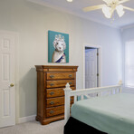 Pets Rock™ HRH // Graphic Art on Wrapped Canvas Wall Art