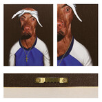 Pets Rock™ Two Rap // Graphic Art on Wrapped Canvas Wall Art