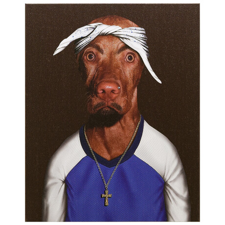 Pets Rock™ Two Rap // Graphic Art on Wrapped Canvas Wall Art