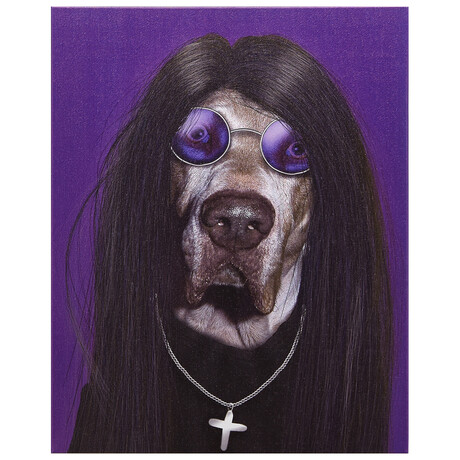 Pets Rock™ Metal // Graphic Art on Wrapped Canvas Wall Art