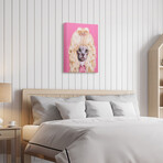 Pets Rock™ Country // Graphic Art on Wrapped Canvas Wall Art